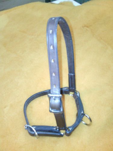 Leather Sheep halter: nickle plated fittings, australian made