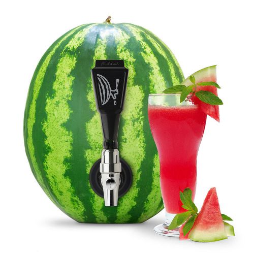 Fruit Keg Tapping Kit Party Moon Shine College Ceg Tap Drinks Watermelon Stuffer