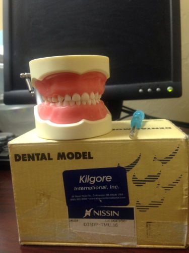 Nissin Pediatric Dentistry Dentoform Pulp Crowns fills model in box