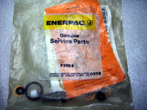 (ENERPAC15) Enerpac Repair Kit P39K4