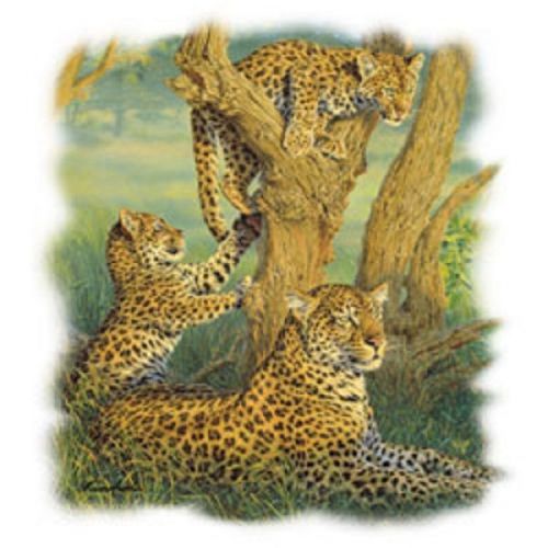 Leopard Family HEAT PRESS TRANSFER for T Shirt Tote Sweatshirt Quilt Fabric 295f