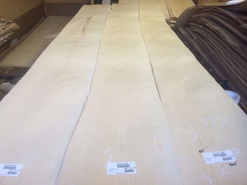 Wood Maple  Veneer  111x13,14,16.  total 3 pcs RAW VENEER  1/46 N975..
