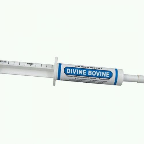 Oralx Divine Bovine Paste 34gm Natural Herbs Training Show Calves  Calming