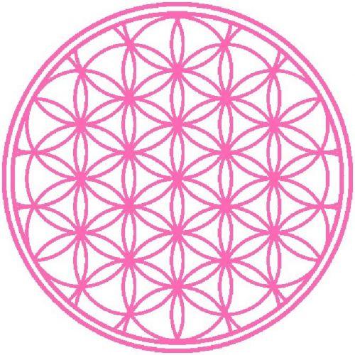 30 Custom Pink Flower of Life Personalized Address Labels