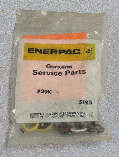 ENERPAC Repair Kit M/N: P39K  5195
