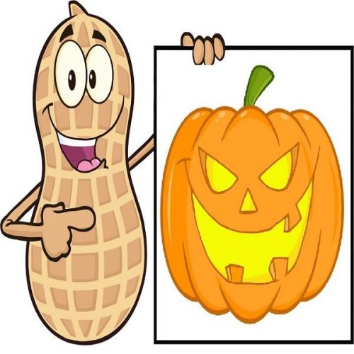 30 Custom Halloween Peanut Personalized Address Labels