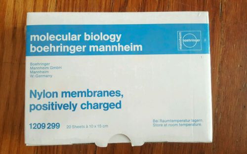 Nylon membranes positively charged Boehringer mannheim