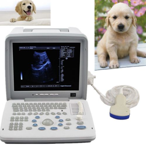 Vet LCD 12&#039;&#039; Digital Ultrasound Ultrasonic System Scanner Convex + 3D Version CE