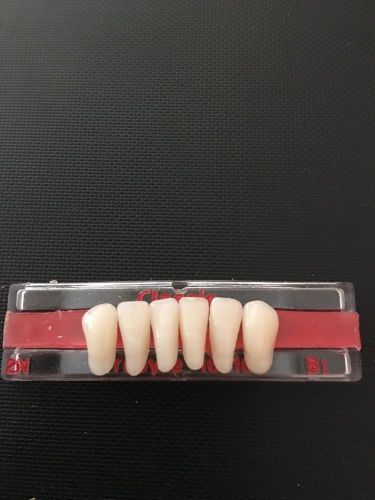 CLASSIC TRUBYTE ANTERIOR TEETH 2M B1