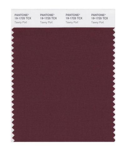 Pantone PANTONE SMART 19-1725X Color Swatch Card, Tawny Port