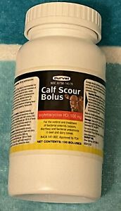 DURVET Calf Scour Bolus 500mg Beef Dairy Cattle Pneumonia Diarrhea 100CT. 11/21