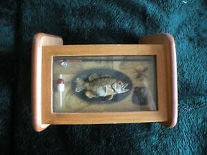 FISH Wood Pen Holder Office Student Desk Access Organizer F3