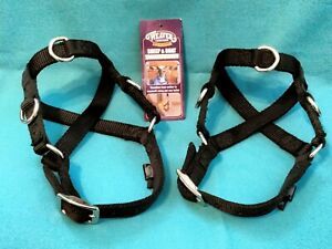Weaver Sheep and Goat Training Halter, Size Small, Lot of 2, New Open Box