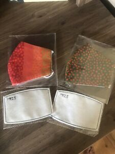 2 Adult Masks Multicolor with Filter