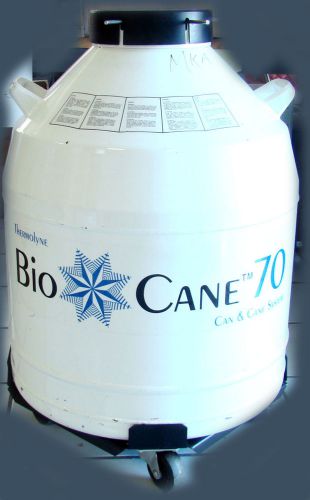 Thermo scientific bio-cane 70 cryogenic vessel warranty quickship for sale