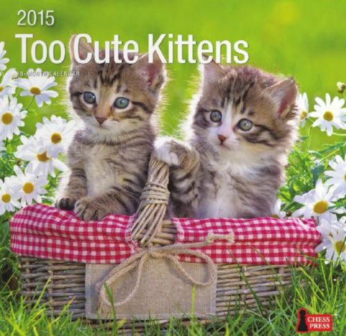 18-Month 2015 TOO CUTE KITTENS Wall Calendar NEW &amp; SEALED Outdoor Cats Animals