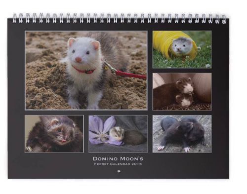 Domino Moon&#039;s Ferret Calendar 2015, A3 Wall Calendar, fund raising for rescues
