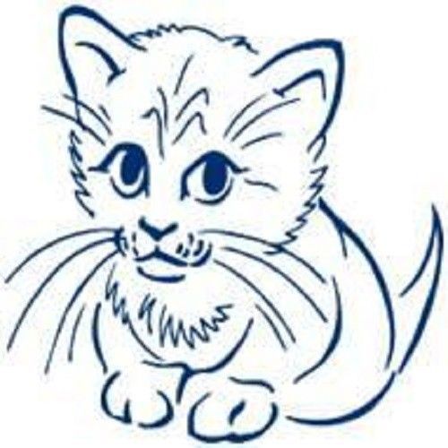 30 Custom Blue Kitten Personalized Address Labels