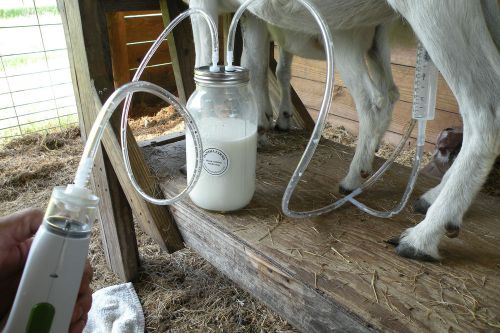 Goat sheep cow battery powered vacuum milk machine 1/2 gallon120 or 220volt euro for sale