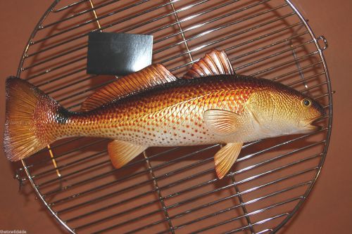 (1), REDFISH, RESTAURANT DECOR, FISH WALL DECOR, FISH PLAQUES, FRIED FISH, #28