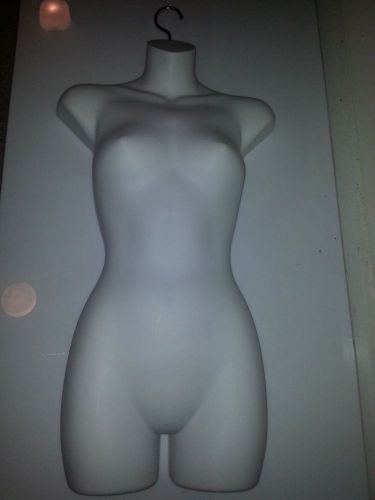 women&#039;s mannequin torso