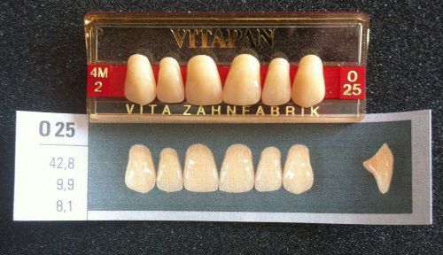 Vitapan Denture Teeth  025  4M2