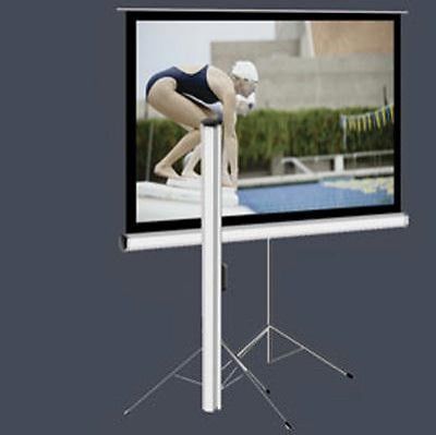 Elite screens t99nws1 98.99&#034; 1:1 projector screen for sale