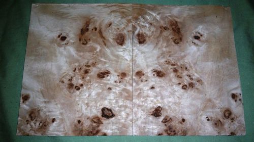 20 Leafs @ 7 x 6.75 Mappa Burl Wood Veneer (v1674)