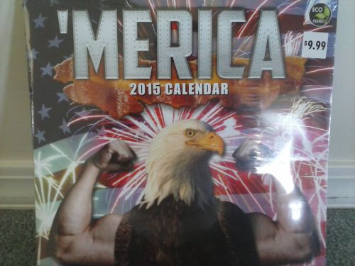 2015 calendar- Patriotic I love America! Red White Blue and Camo Military Thanks
