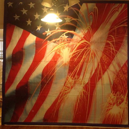 Da-Lite Fast Fold 10&#039;X10&#039; Frame With Flag And Fireworks Screen Print