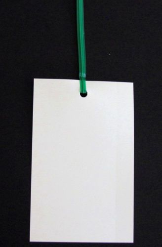 Blank white plastic tags, tie-on tags, plant labels, industrial labels, qty 250 for sale