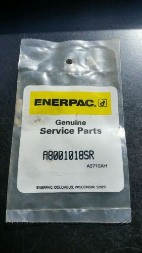 Enerpac A8613900SR Safety Valve Assembly