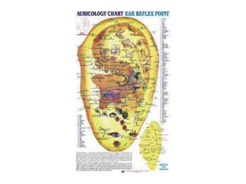 Auricology Chart Ear Reflex Point Quick Study Academics Teaching Educational
