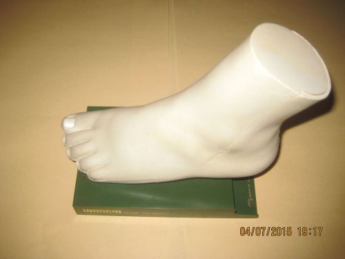Rare Vintage Medical Model Foot Anatomy Merck Advertisement