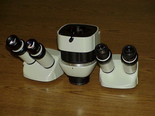 Stereo Zoom Microscope (Teaching)