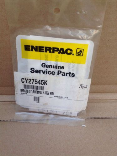 Enerpac genuine service repair seal kit CY27545K Formally 3022