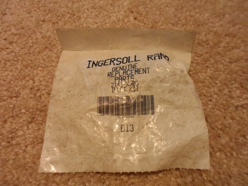 Ingersoll Rand Inlet Kit 2141-K303