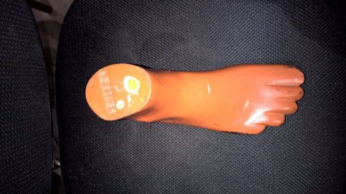 Radiology X-ray Foot Phantom - Anatomically Correct
