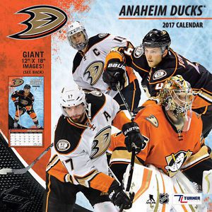 Anaheim Ducks 12&#034; x 12&#034; 2017 Team Wall Calendar - NHL