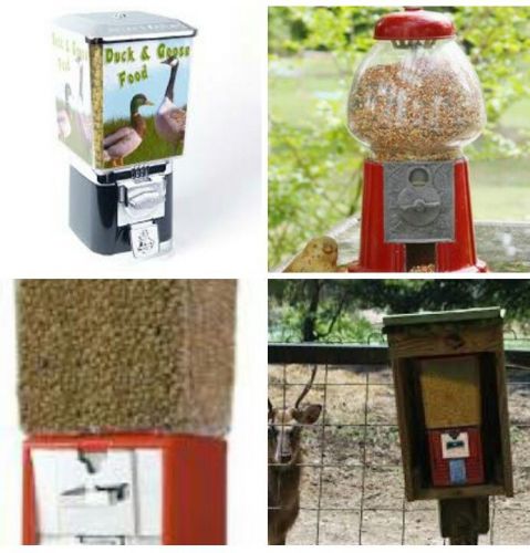 animal feed vending machines