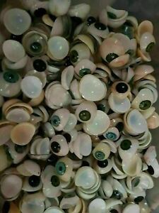 100 PIECE ARTIFICIAL EYES MIXED COLORS ALL SIZES EXPEDITE SHIPPING E382