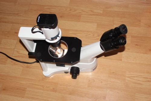 Fisher Scientific Micromaster Inverted Microscopes with Infinity Optics