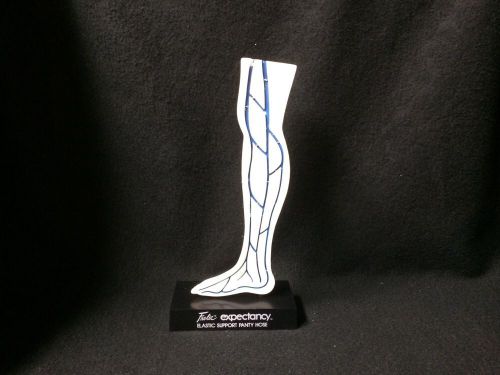 Veins of Leg, Foot Anatomical Teaching Model