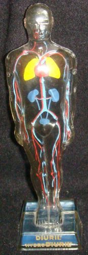 Vintage Mini Diuril Transparent Man Anatomical Model