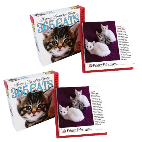 NEW (Set/2) 365 Cats 2015 Americas Favorite Colored Page-A-Day Daily Calendar