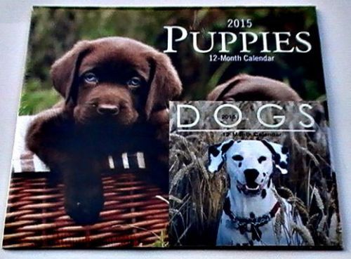 2015 12 Month Wall Calendar ~ PUPPIES BONUS Smaller DOGS Calendar NEW!