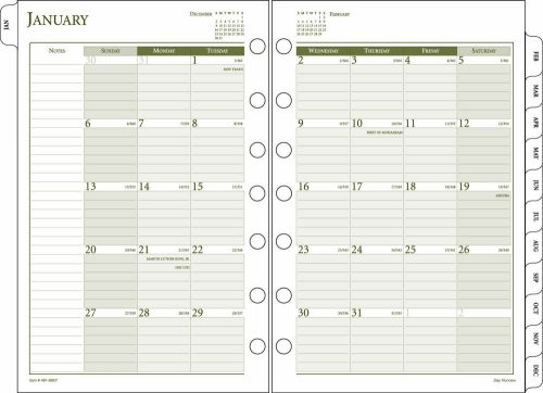 AT-A-GLANCE 2015 Monthly Calendar Planner Refill, 5 1/2 x 8 1/2, Fits Day Runner