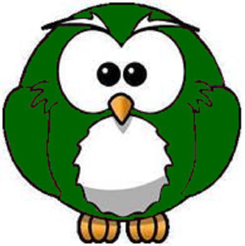 30 Custom Green Owl Personalized Address Labels