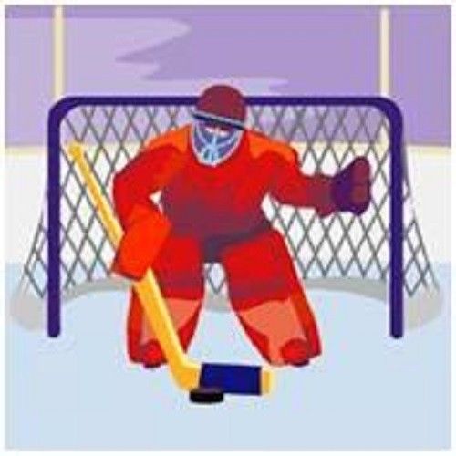 30 Custom Hockey Goalie Personalized Address Labels