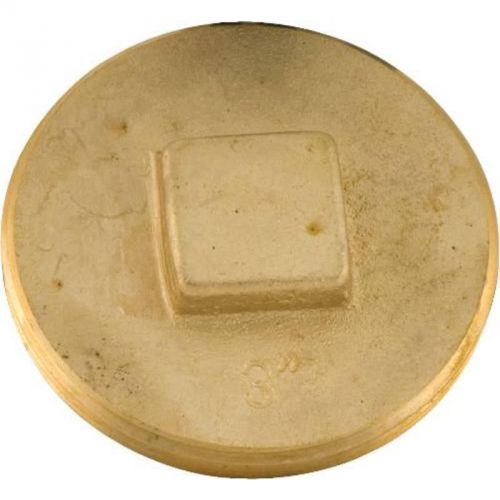 Low Hollow Square Head Souther Code Brass Plug 3&#034; 173308 173308 076335055558